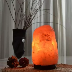 Lampe unique – cristal de sel d’Himalaya (2 à 3kg)