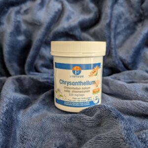 Chrysanthellum – camomille d’or