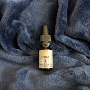 Dame d’Onze Heures / Star Of Bethlehem n°29 – Fleurs de Bach authentiques