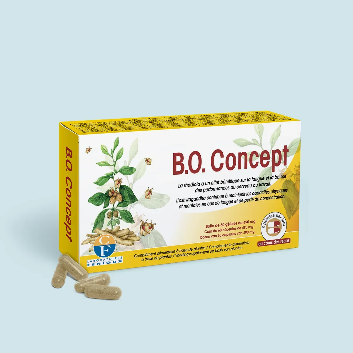 B.O Concept - fatigue cérébrale – Image 3