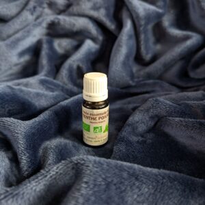 Huile essentielle – Menthe poivrée Bio